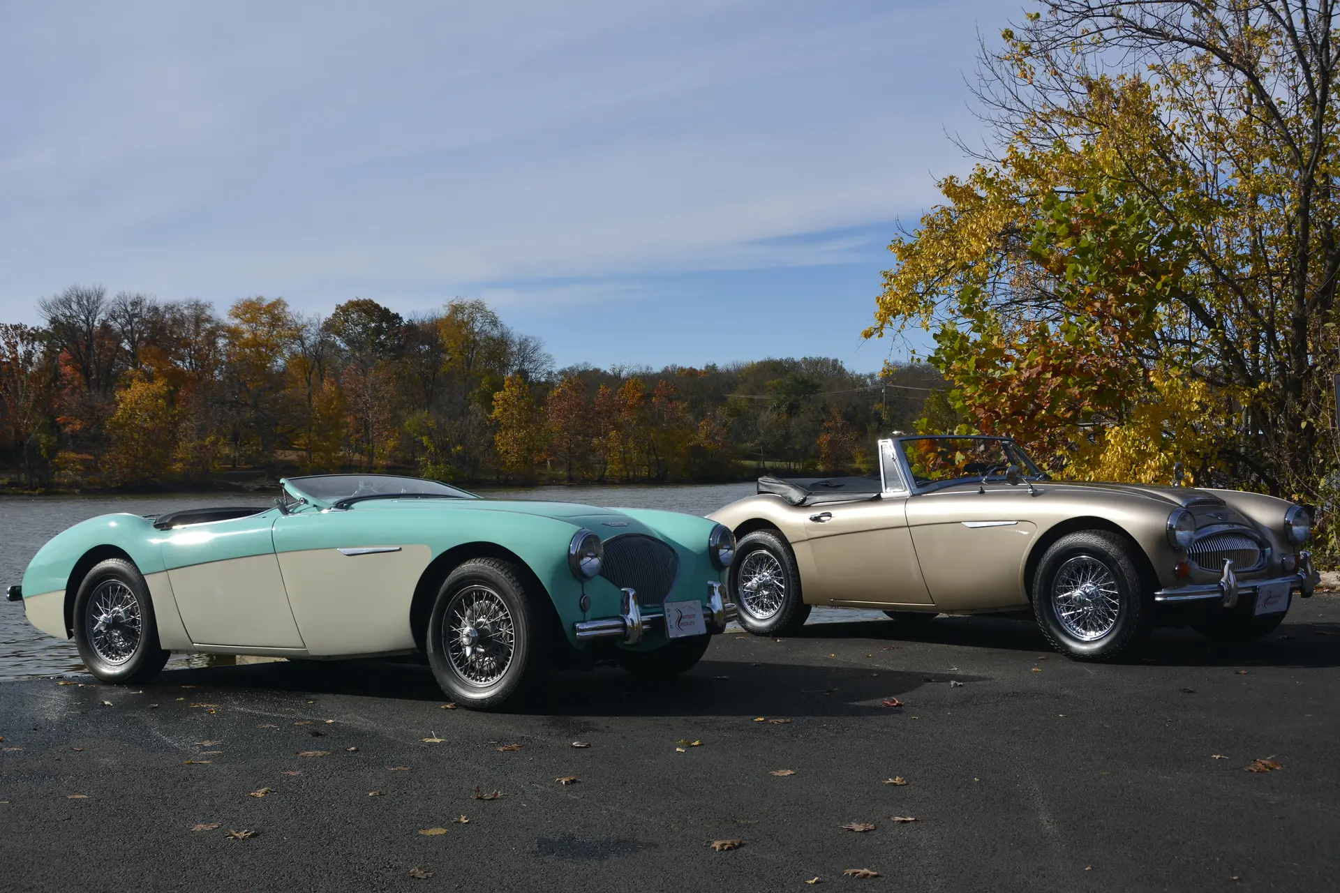 Turquoise and silver Austin-Healey roadsters beside a lake